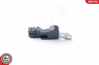 ESEN SKV 17SKV250 EAN: 5901947322987.