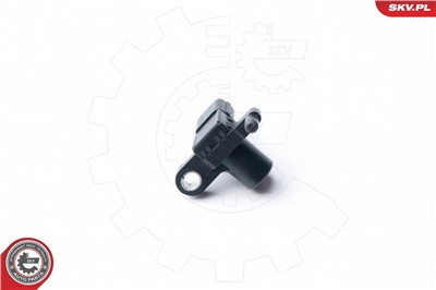 ESEN SKV 17SKV251 EAN: 5901947322994.