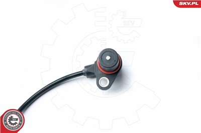 ESEN SKV 17SKV313 EAN: 5901947323618.