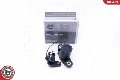 ESEN SKV 17SKV401 EAN: 5901947366318.