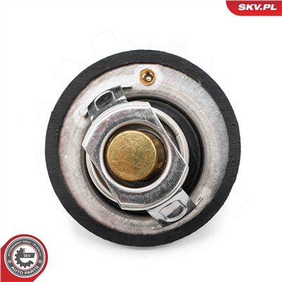 ESEN SKV 20SKV218 EAN: 5903968496692.