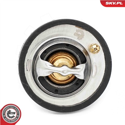 ESEN SKV 20SKV218 EAN: 5903968496692.