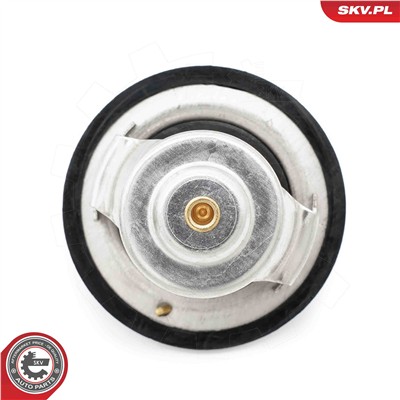 ESEN SKV 20SKV219 EAN: 5903968496708.