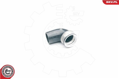 ESEN SKV 24SKV100 EAN: 5901947334164.