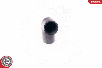 ESEN SKV 24SKV138 EAN: 5901947353141.