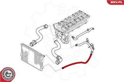 ESEN SKV 24SKV203 EAN: 5901947332856.