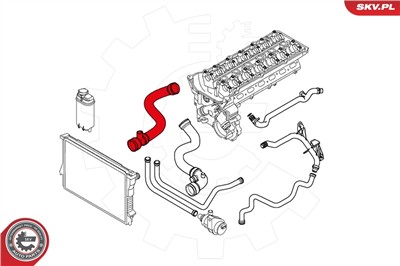 ESEN SKV 24SKV239 EAN: 5901947355947.