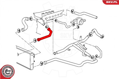 ESEN SKV 24SKV240 EAN: 5901947355954.