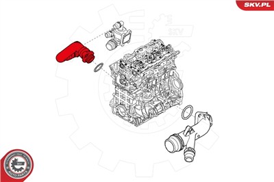 ESEN SKV 24SKV243 EAN: 5901947355985.