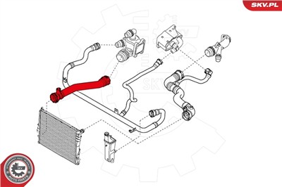 ESEN SKV 24SKV244 EAN: 5901947355992.