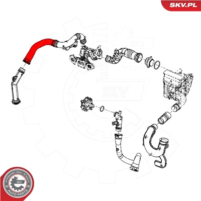 ESEN SKV 24SKV505 EAN: 5903968420314.