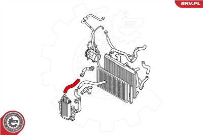 ESEN SKV 24SKV885 EAN: 5901947363256.