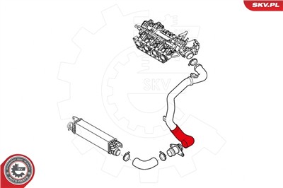 ESEN SKV 24SKV891 EAN: 5901947363317.