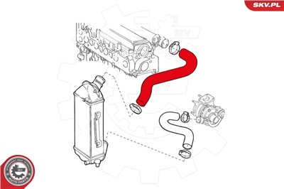 ESEN SKV 24SKV925 EAN: 5901947364338.