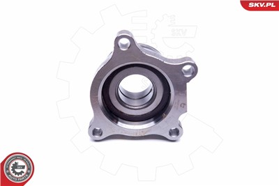 ESEN SKV 29SKV191 EAN: 5901947380055.