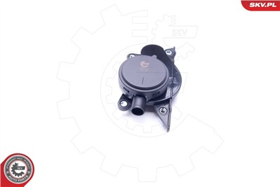 ESEN SKV 31SKV060 EAN: 5901947367261.