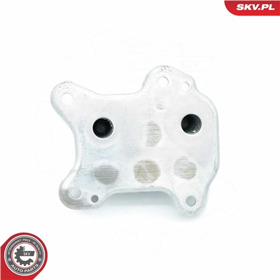 ESEN SKV 31SKV229 EAN: 5903968453619.