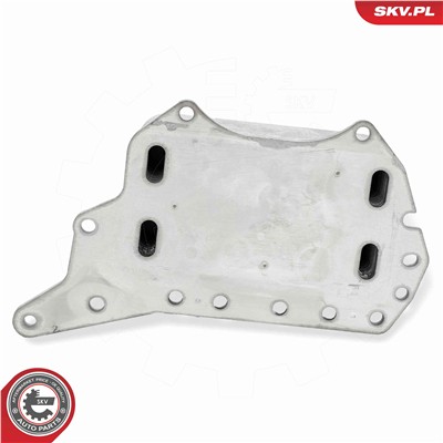 ESEN SKV 31SKV306 EAN: 5906302204663.