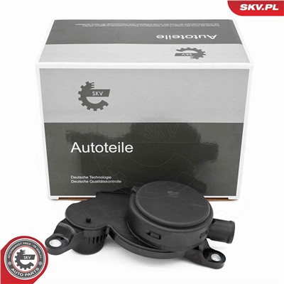 ESEN SKV 31SKV428 EAN: 5906302208142.