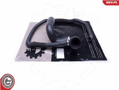 ESEN SKV 43SKV839