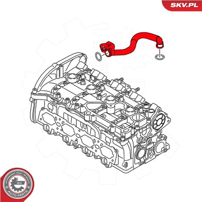 ESEN SKV 54SKV038 EAN: 5903968420239.