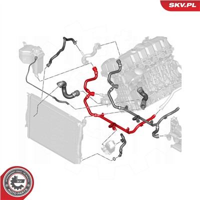 ESEN SKV 54SKV767 EAN: 5906302211128.