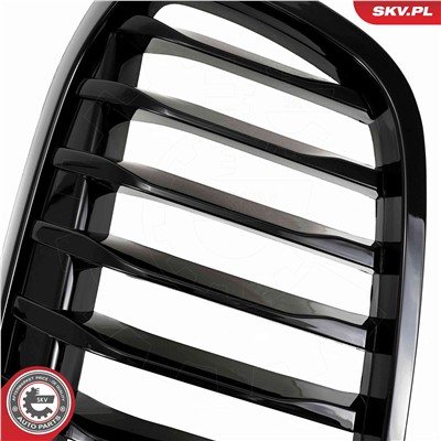 ESEN SKV 66SKV041 EAN: 5903968482008.