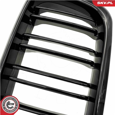 ESEN SKV 66SKV216 EAN: 5903968483753.