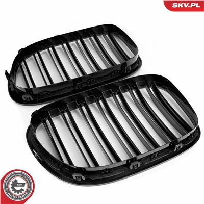 ESEN SKV 66SKV219 EAN: 5903968483784.