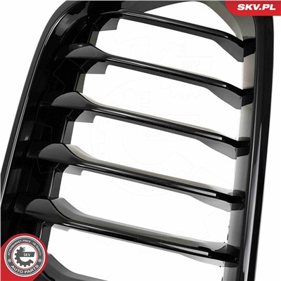 ESEN SKV 66SKV245 EAN: 5903968484040.