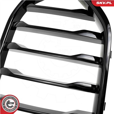 ESEN SKV 66SKV307 EAN: 5903968484668.