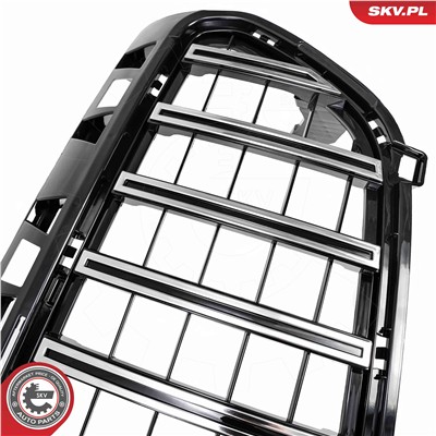 ESEN SKV 66SKV501 EAN: 5906302214372.