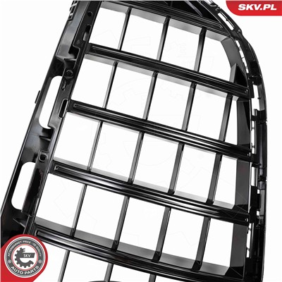 ESEN SKV 66SKV546 EAN: 5906302214822.