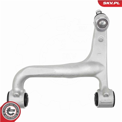 ESEN SKV 69SKV317 EAN: 5906302223480.