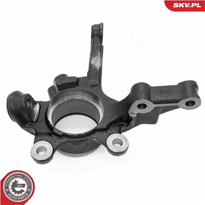 ESEN SKV 73SKV101 EAN: 5906302213313.