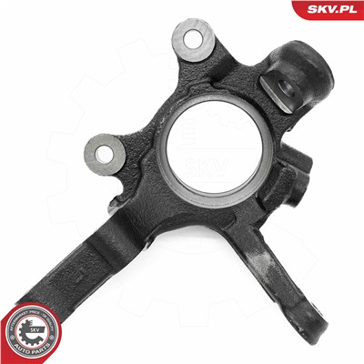 ESEN SKV 73SKV101 EAN: 5906302213313.