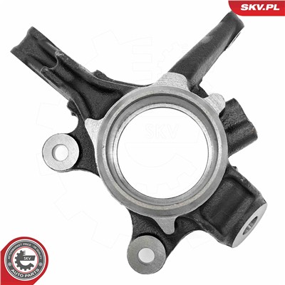 ESEN SKV 73SKV101 EAN: 5906302213313.