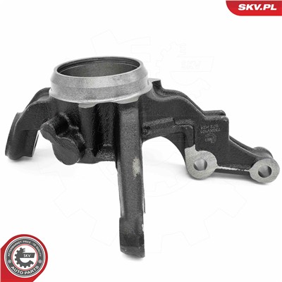 ESEN SKV 73SKV101 EAN: 5906302213313.