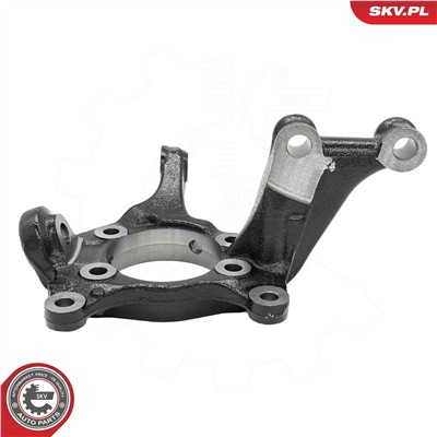 ESEN SKV 73SKV221 EAN: 5906302248162.