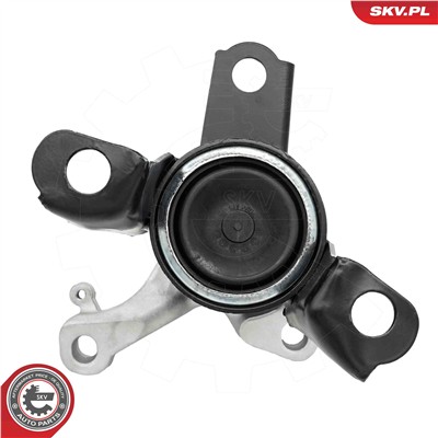 ESEN SKV 75SKV252 EAN: 5906302243747.