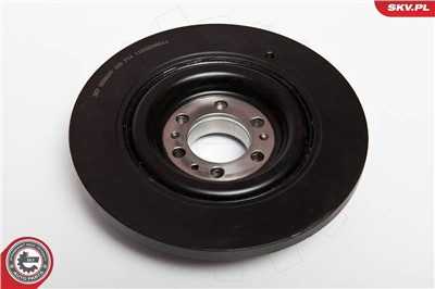 ESEN SKV 95SKV301 EAN: 5901947315996.