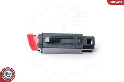 ESEN SKV 96SKV100 EAN: 5901947323939.