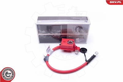 ESEN SKV 96SKV302 EAN: 5901947366431.