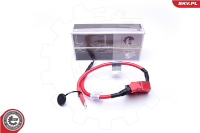 ESEN SKV 96SKV303 EAN: 5901947366448.