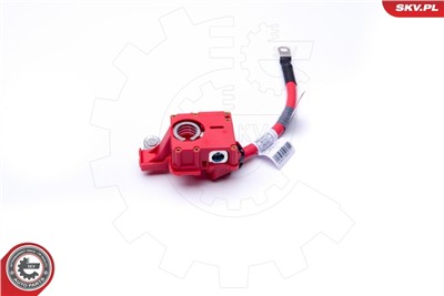 ESEN SKV 96SKV309 EAN: 5901947366509.