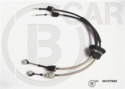 B CAR 001CT263