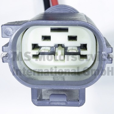 PIERBURG 7.10631.01.0 EAN: 4069064000841.