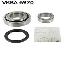 SKF VKBA 6920