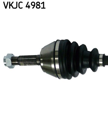SKF VKJC 4981 EAN: 7316572884430.