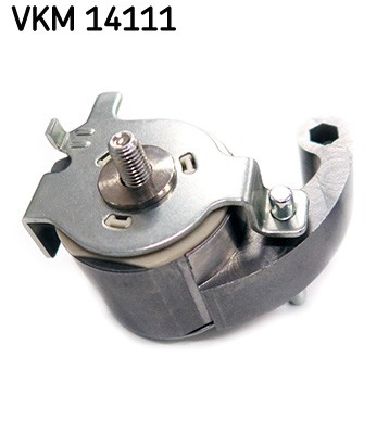 SKF VKM 14111 EAN: 7316581929238.